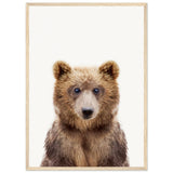 Poster: Baby Bear