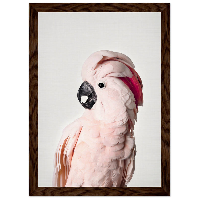 Poster: Pink Cockatoo