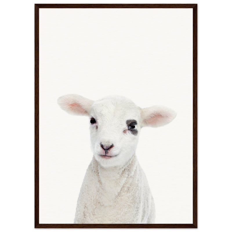 Poster: Baby Lamb