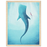 Poster: Whale Shark