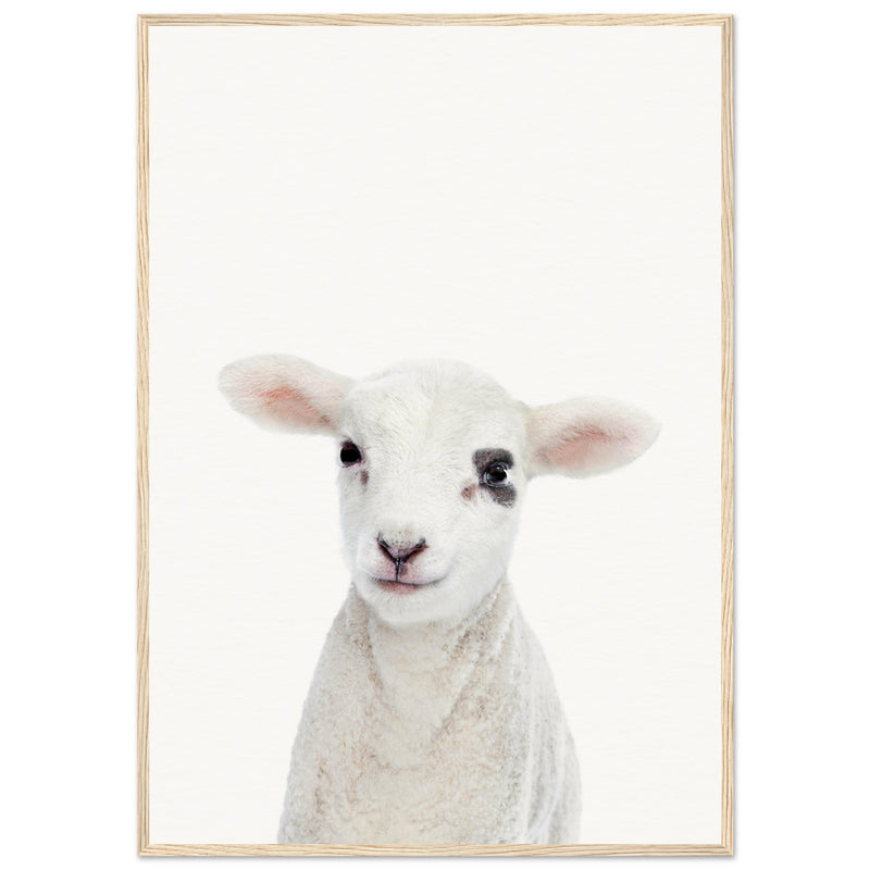 Poster: Baby Lamb