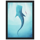 Poster: Whale Shark