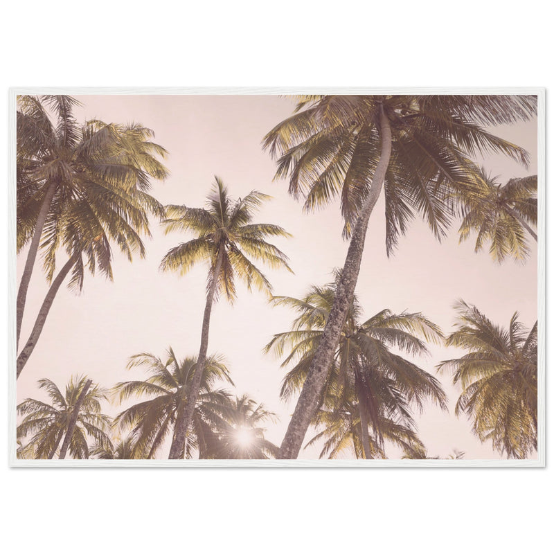 Poster: Blush Palm Trees