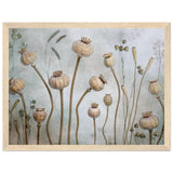 Poster: Papaver