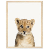 Poster: Baby Lion