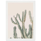 Poster: Sunrise Cactus