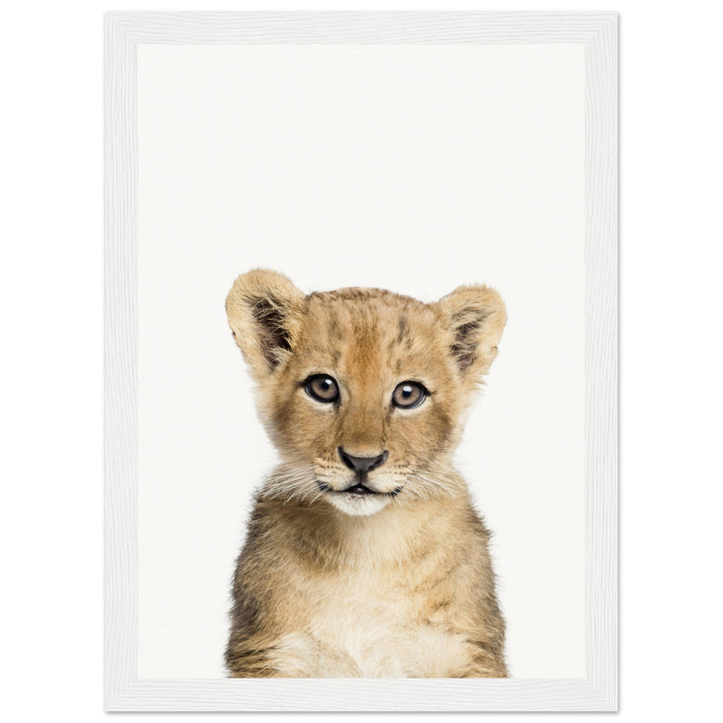 Poster: Baby Lion