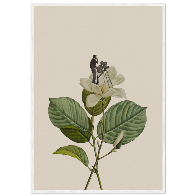 Poster: Botanical vintage cameraman