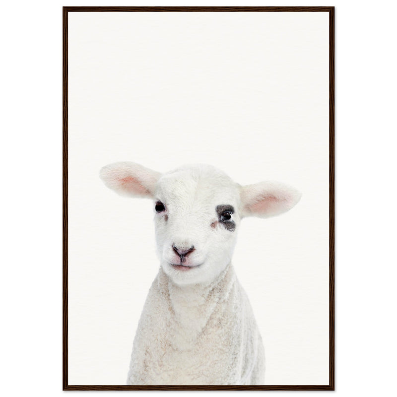 Poster: Baby Lamb