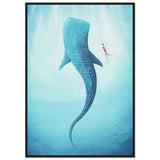 Poster: Whale Shark