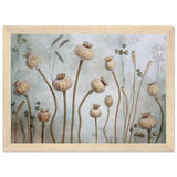 Poster: Papaver