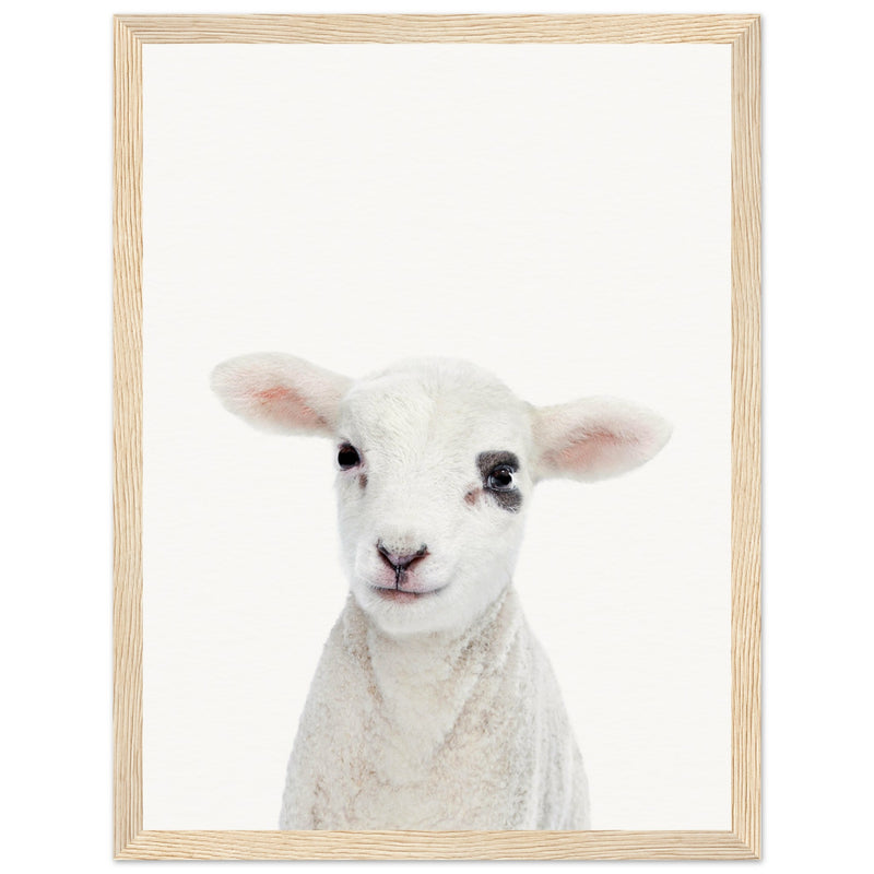 Poster: Baby Lamb