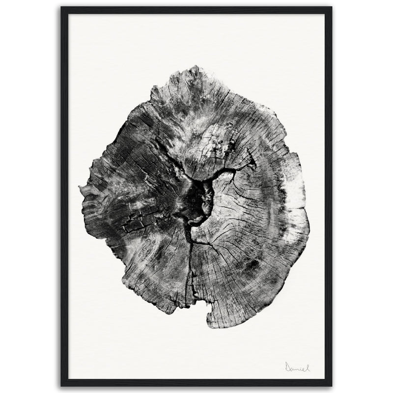 Poster: Oak Log