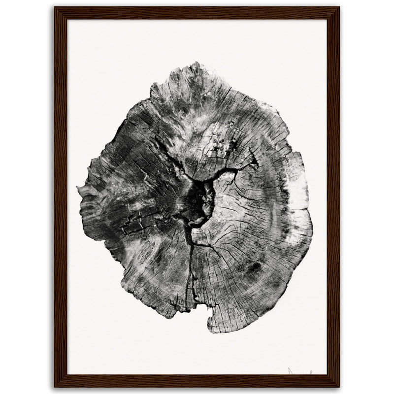 Poster: Oak Log