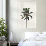 Poster: Windy Palm Tree