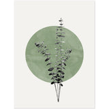 Poster: Eucalyptus and Green Moon