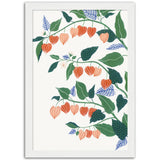 Poster: Chinese Lantern Plant