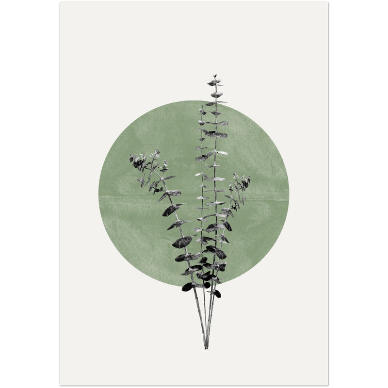 Poster: Eucalyptus and Green Moon