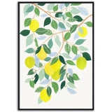 Poster: Lemon Tree