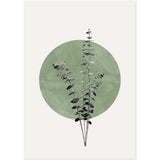 Poster: Eucalyptus and Green Moon