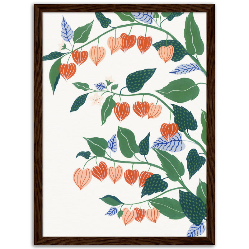 Poster: Chinese Lantern Plant