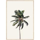 Poster: Windy Palm Tree