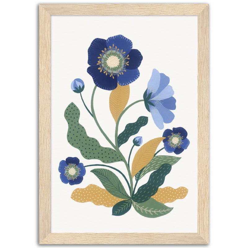 Poster: Blue Hellebore