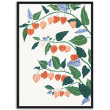 Poster: Chinese Lantern Plant