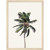 Poster: Windy Palm Tree