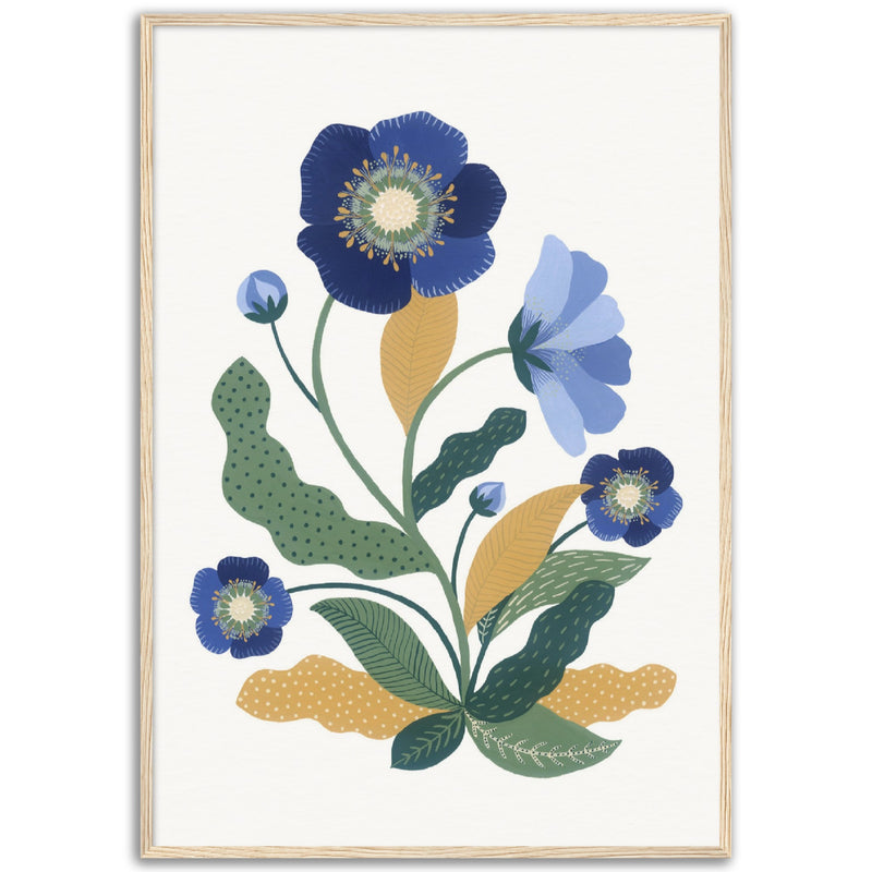 Poster: Blue Hellebore