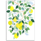 Poster: Lemon Tree