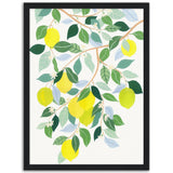 Poster: Lemon Tree