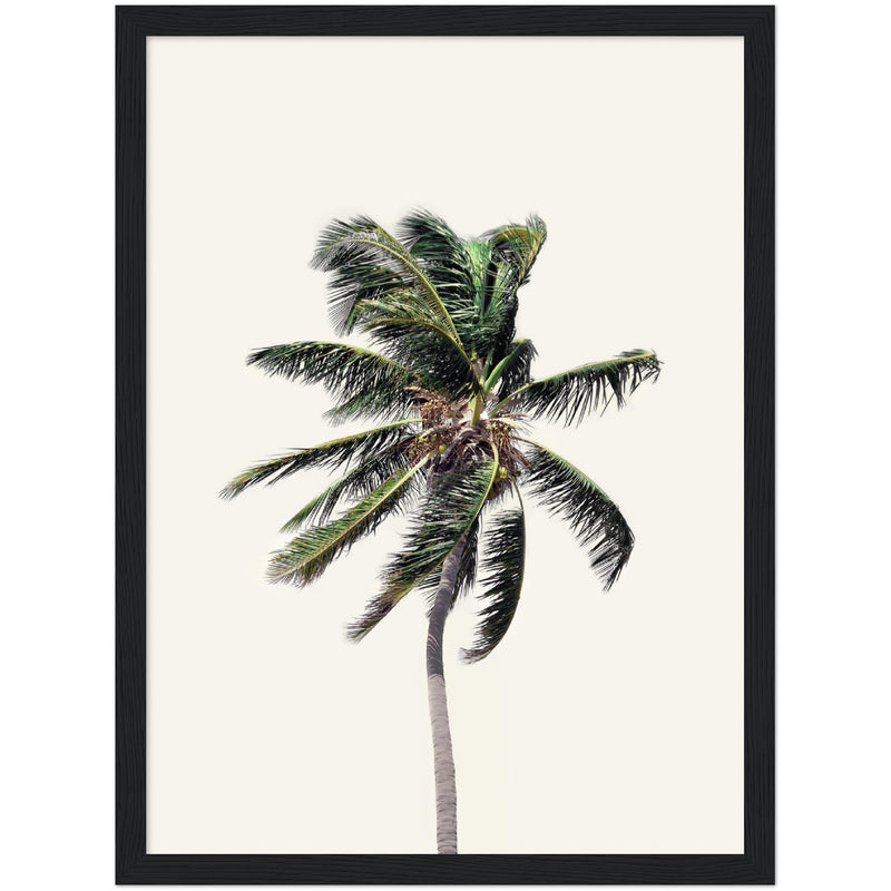 Poster: Windy Palm Tree