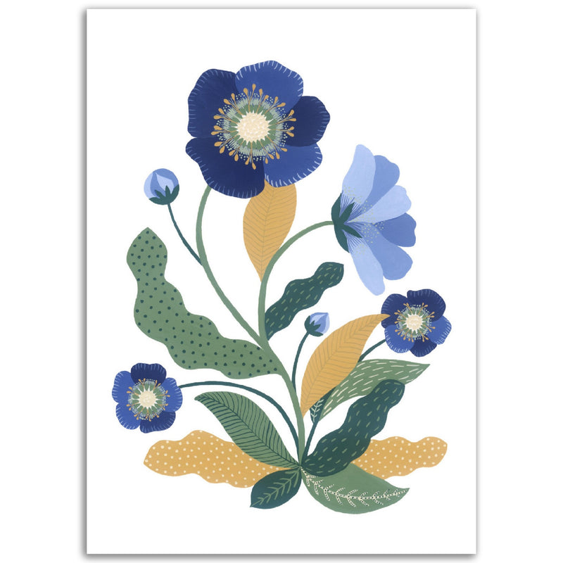 Poster: Blue Hellebore