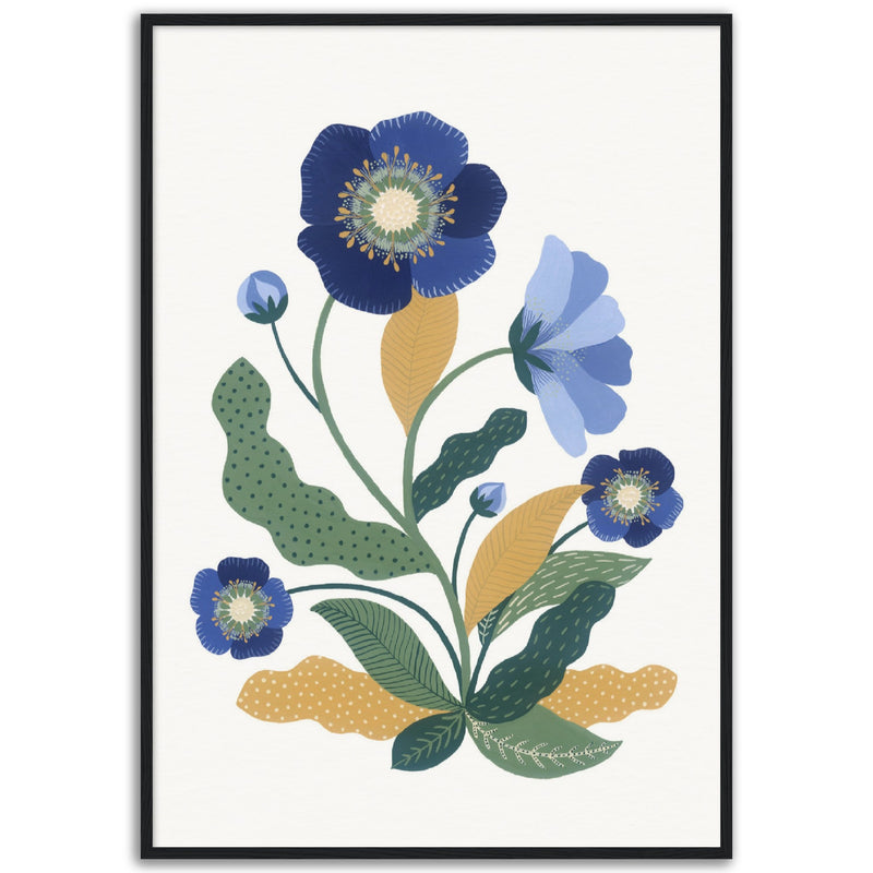 Poster: Blue Hellebore