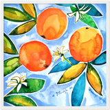 Poster: Oranges Blooming