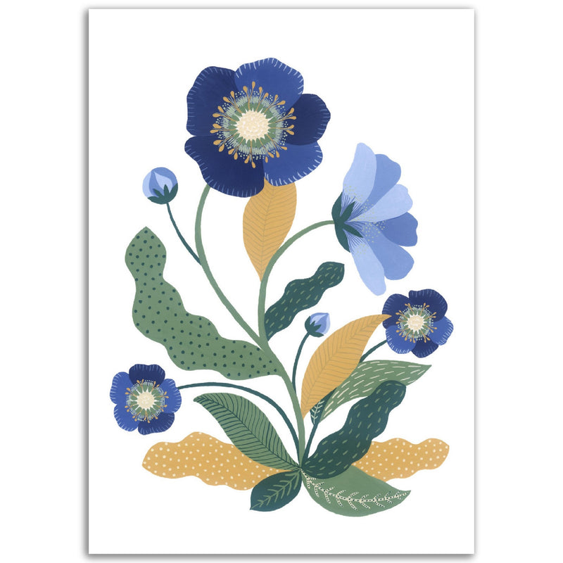 Poster: Blue Hellebore