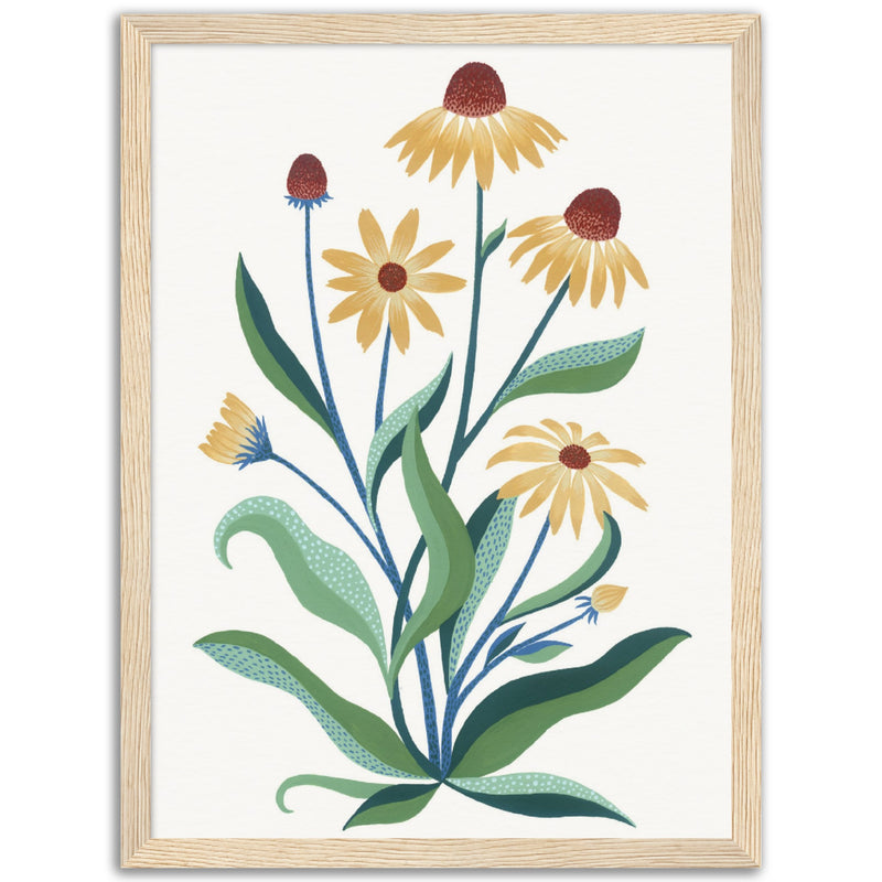 Poster: Yellow Coneflower