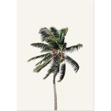 Poster: Windy Palm Tree