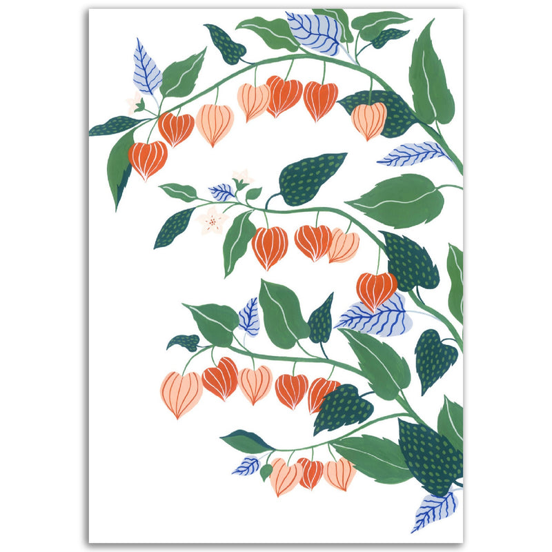 Poster: Chinese Lantern Plant